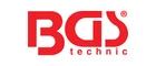 BGS